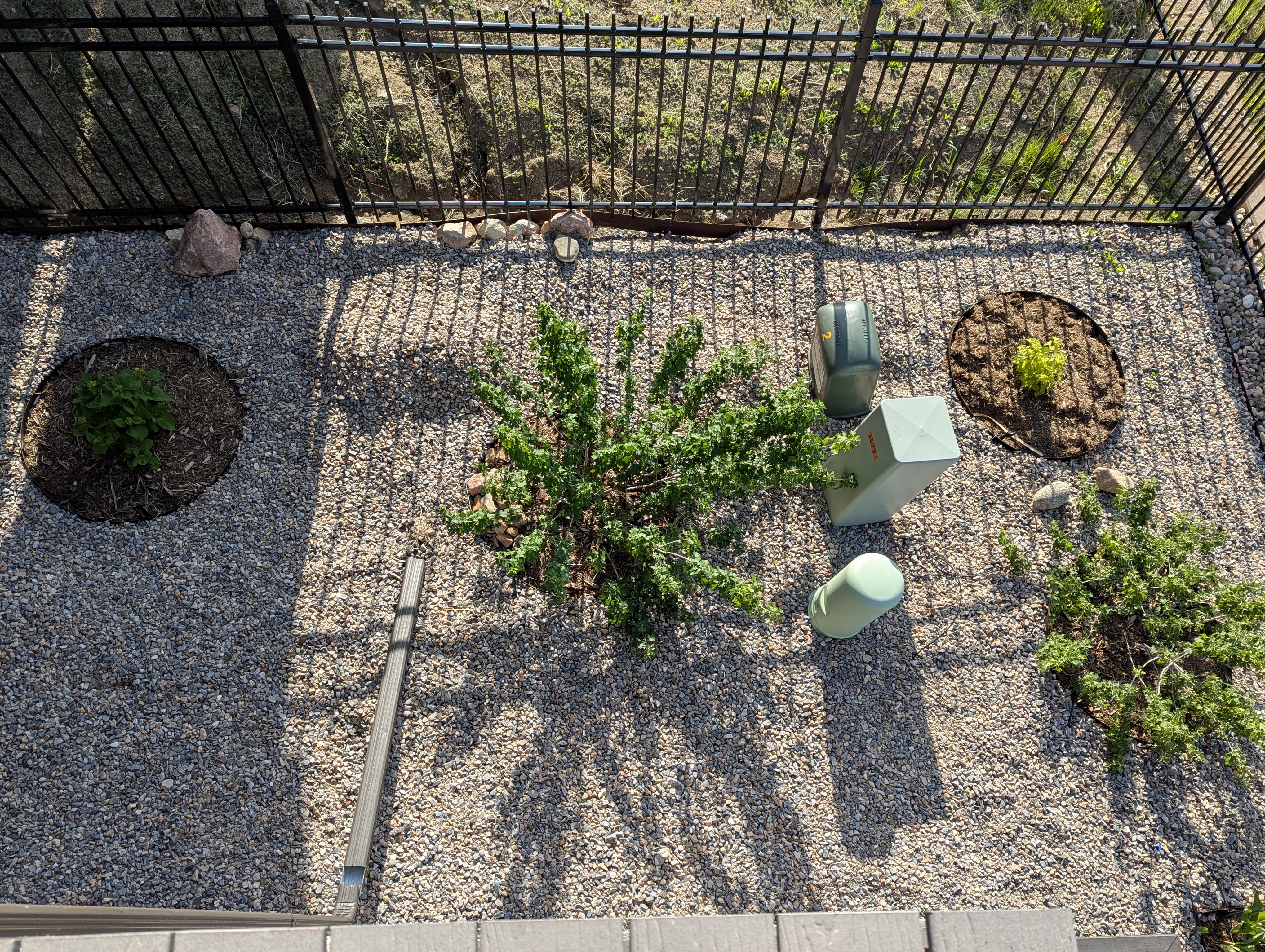 Garden, Flowers, Morrison, Colorado